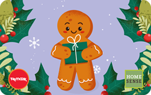 Homesense Gingerbread - Animated ROI